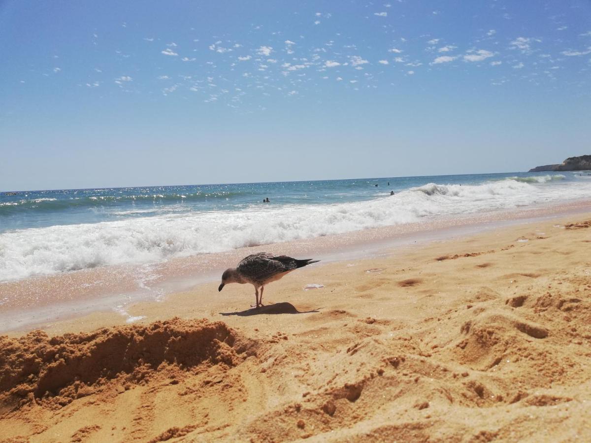 Armação de Pêra Apartamento Do Algarve מראה חיצוני תמונה